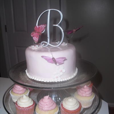 Butterfly Cake & Cupcakes