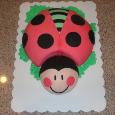 Lady Bug For First Birthday