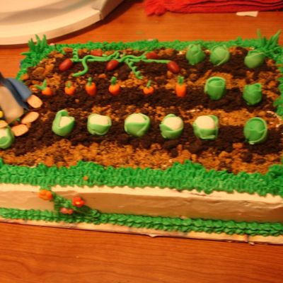 Peter Rabbit Garden Cake