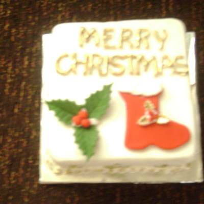 Mini Christmas Cakes