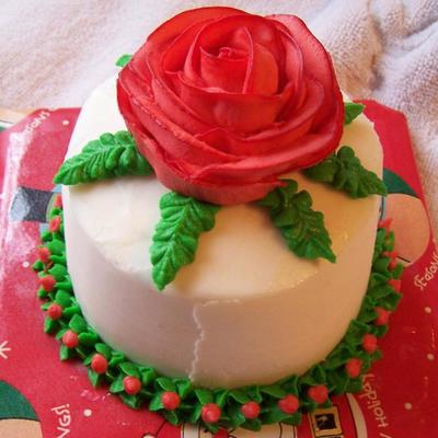 Christmas Rose