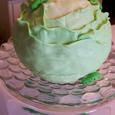 Cabbage Cake