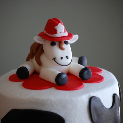 Cowgirl Cake