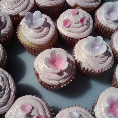 4-27-09_Flower_Cupcakes.jpg