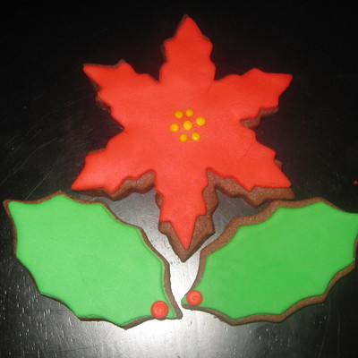 Poinsettia And Holly