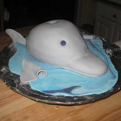 Dolphin Cake