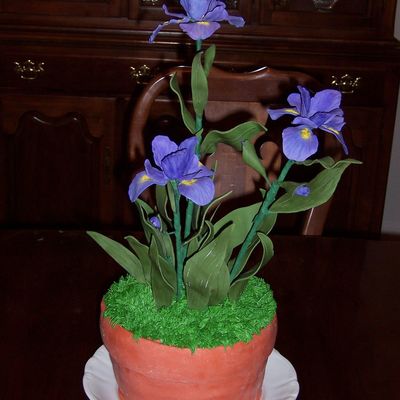 Iris Birthday Cake