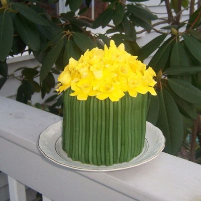 Spring Daffodils