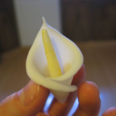 1St Calla Lily!