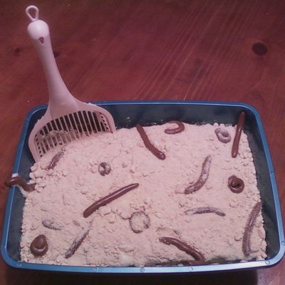 Cat Litter Cake