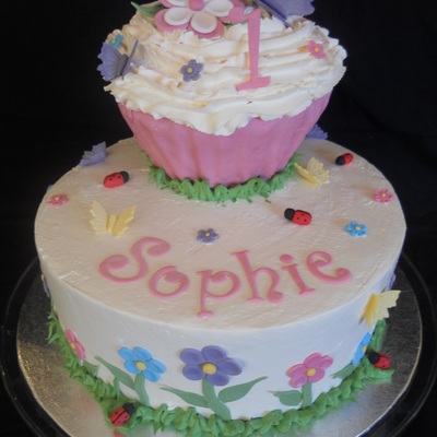 Butterflies, Flowers & Lady Bugs!