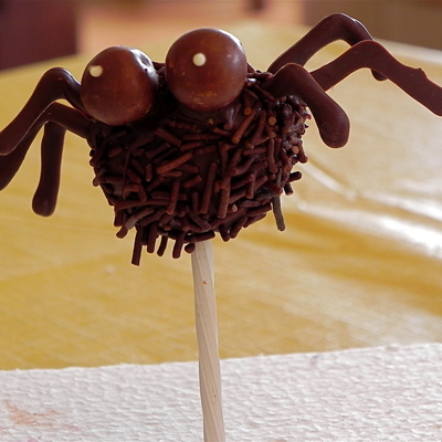 Spider