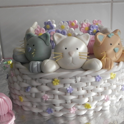 Kitten Basket