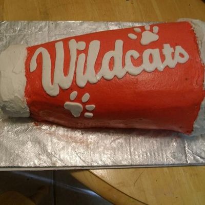 High School Musical Megaphone