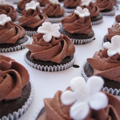 Chocolate Mini Cupcakes + Joyofbaking Choc Frosting