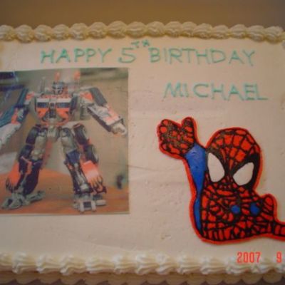 Spiderman/transformer