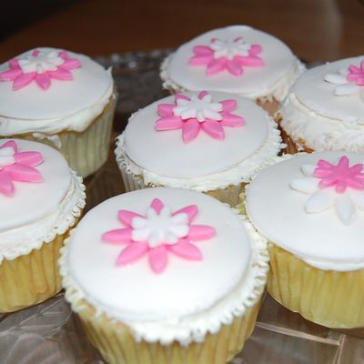 Daisy Cupcakes