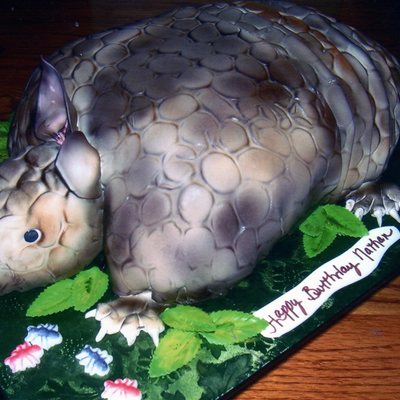 Armadillo