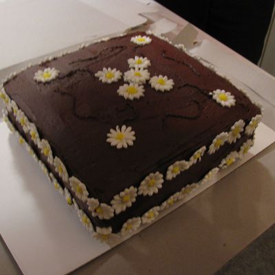 Chocolate Daisy Cake