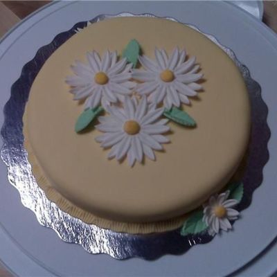 Practice Cake/spring/easter