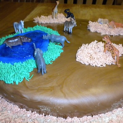 Mia's African Safari Cake