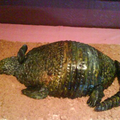 Armadillo Grooms Cake