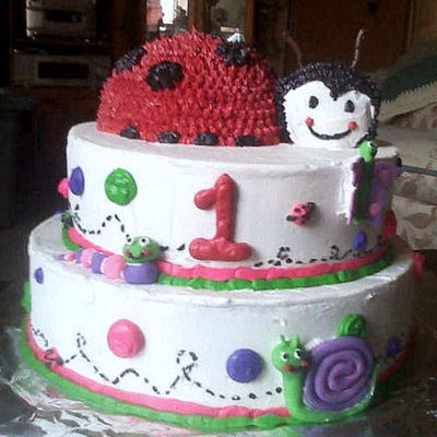 Ladybugs First Bday