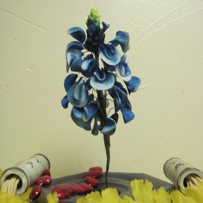 Bluebonnet, First Attempt