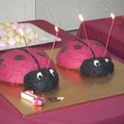 Ladybirds