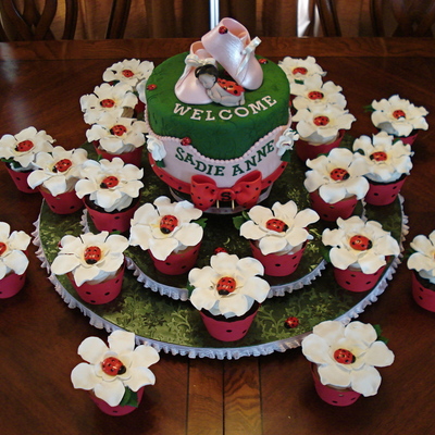 Lady Bug Baby Cake And Cupcakes