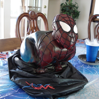 Crouching Spider Hidden Shame