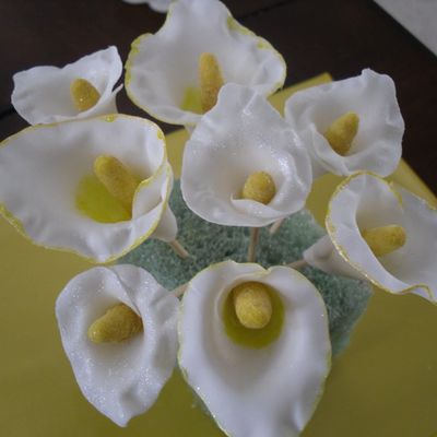 C Allas Lillies