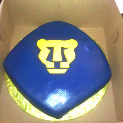 Pumas Soccer Cake