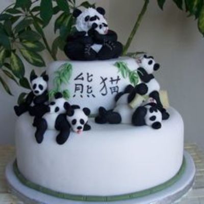 Save The Panda