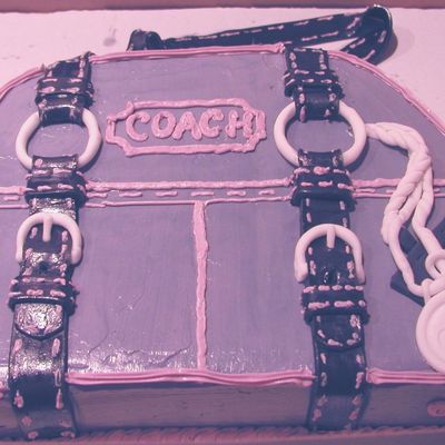 Purple Coach Bag