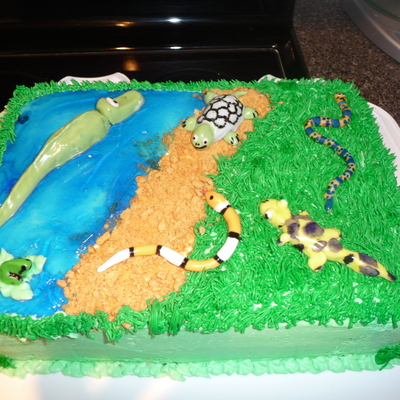 Reptiles Cake