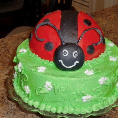 Ladybug Cake