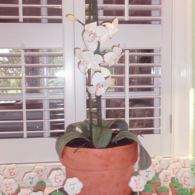 Orchid Cake