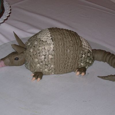 Armadillo Groom's Cake