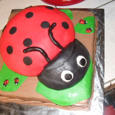 Baby Shower Lady Bug Cake