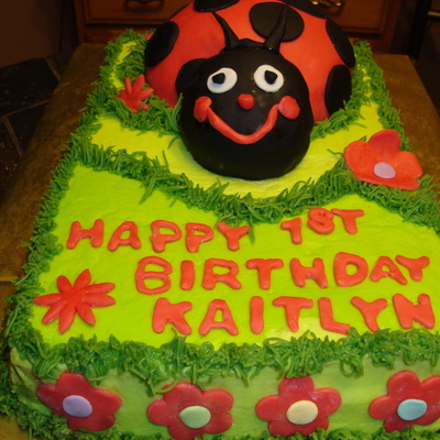 Ladybug Cake