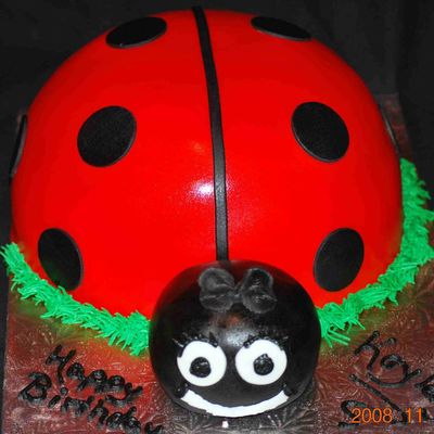 Ladybug