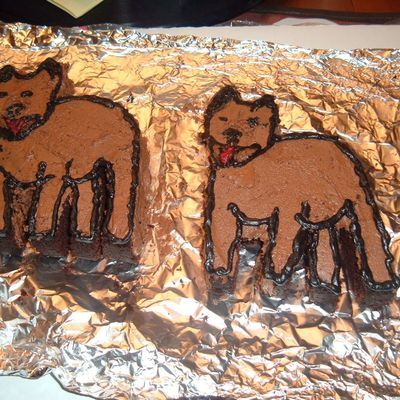 Pibull Birthday Cakes