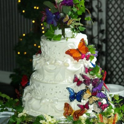 Bows And Swag Wedding Cake