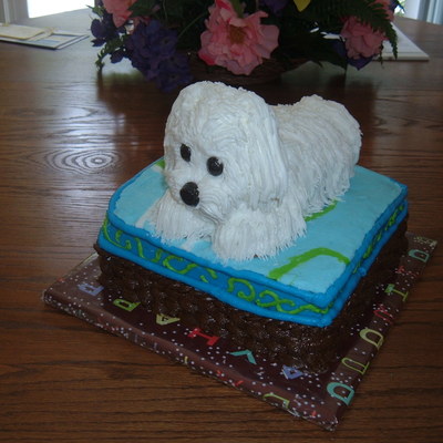 3-D Maltese Purched On His Favorite Pillow
