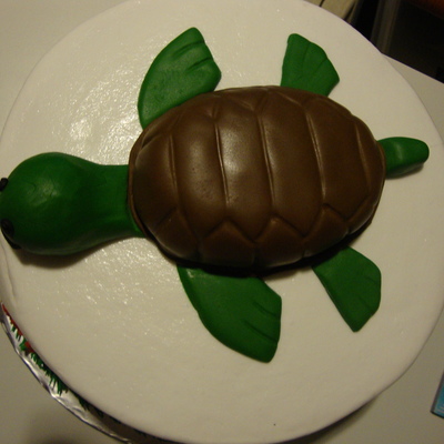 Turtle