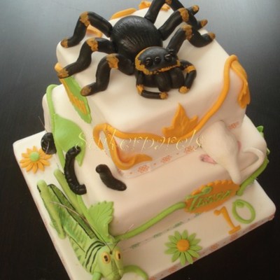 Creepy Crawly Cake.