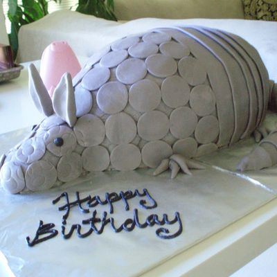 Armadillo