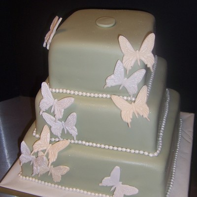 Butterflies
