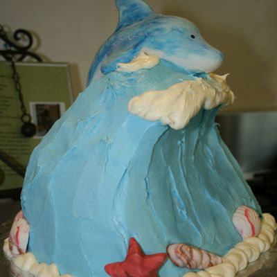 Dolphin